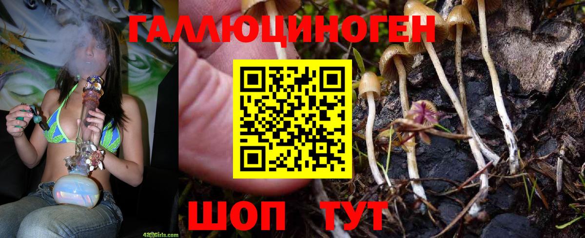 Псилоцибиновые грибы Cubensis  Псилоцибиновые грибы мицелий  даркнет сайт  Рассказово  Вход с VPN 